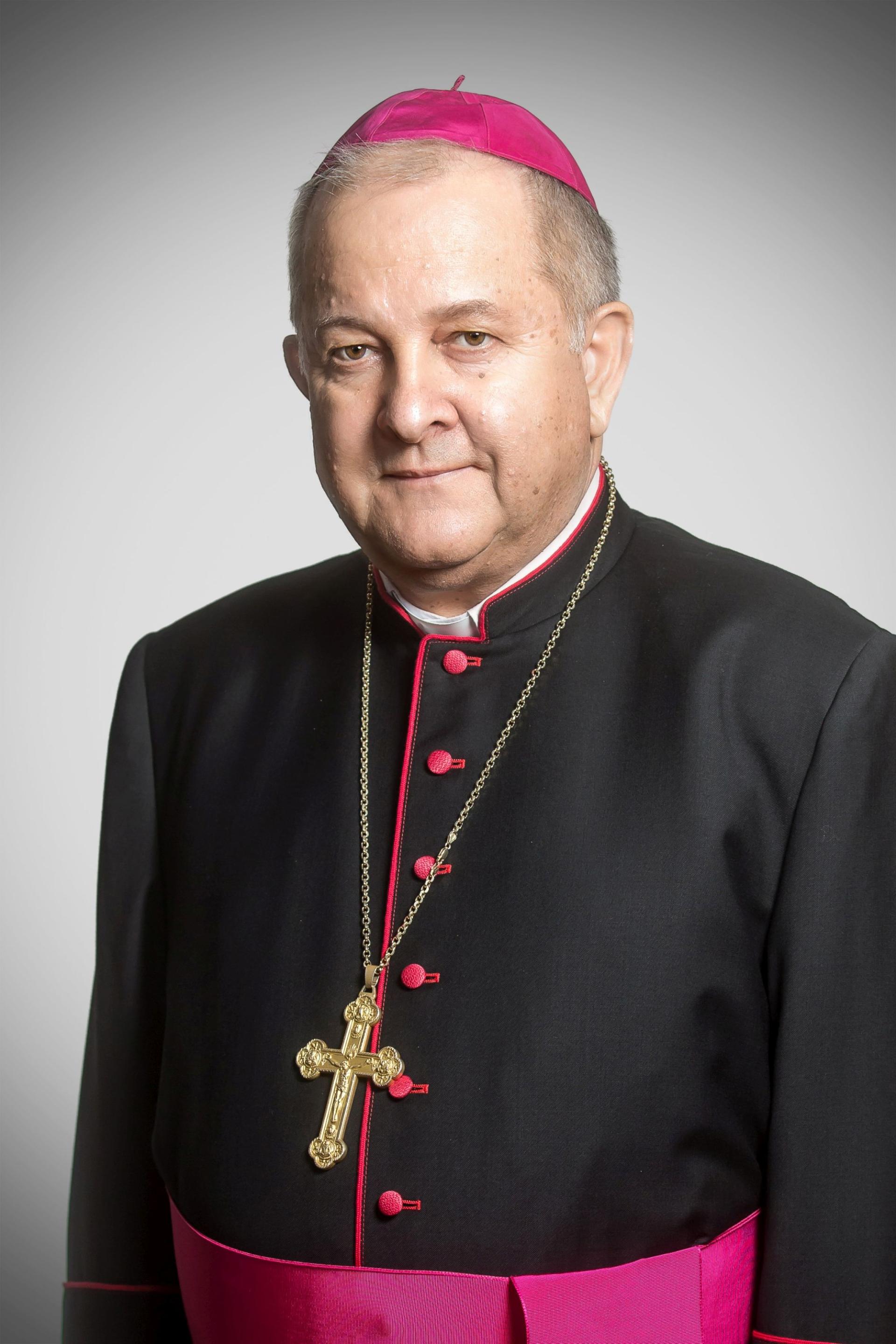 Dr. Balázs Bábel Erzbischof von Kalocsa-Kecskemét