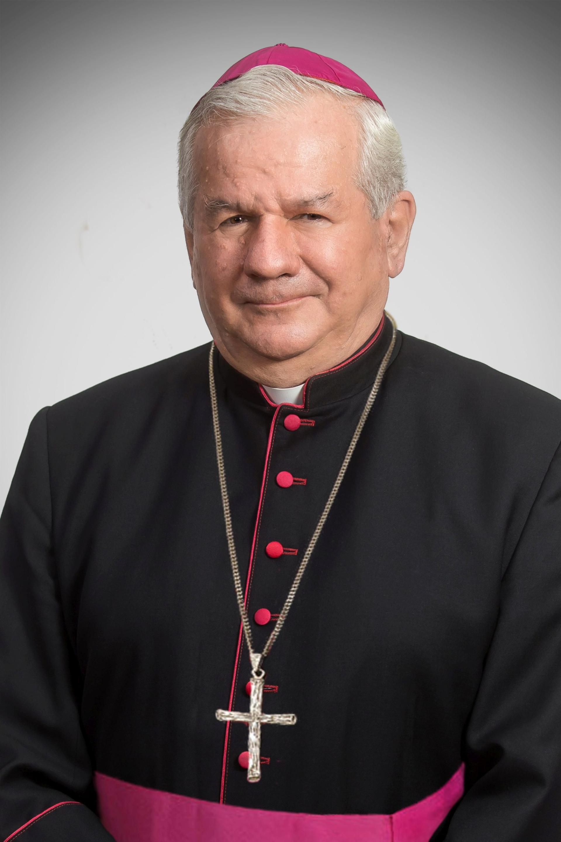 Dr. László Kiss-Rigó Bischof von Szeged-Csanád